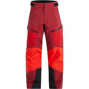 Peak Performance M Gravity Gore-Tex Pants - rogue red/the alpine/rogue red XL