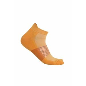 Pánské merino ponožky ICEBREAKER Mens Multisport Light Micro, Solar/Earth velikost: 44,5-46,5 (L)