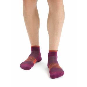 Pánské merino ponožky ICEBREAKER Mens Multisport Light Mini, Go Berry/Vibrant Earth velikost: 42-44 (M)