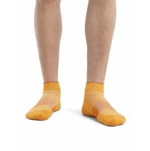 Pánské merino ponožky ICEBREAKER Mens Multisport Light Mini, Solar/Earth velikost: 42-44 (M)