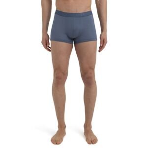 Pánské merino boxerky ICEBREAKER Mens Anatomica Cool-Lite™ Trunks, Dawn velikost: XL